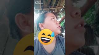 tokek ajaib nih