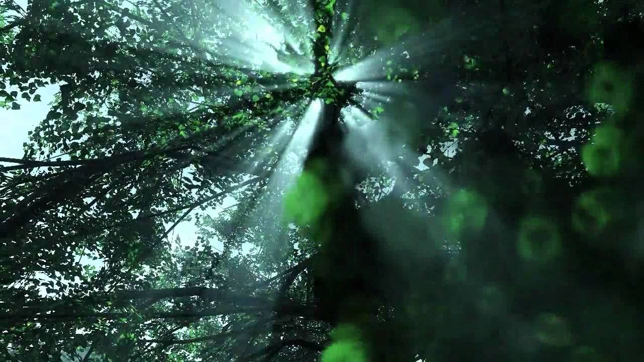 ダイアナ・ガーネット Diana 「Secret Base君がくれたもの」 Cover YouTube