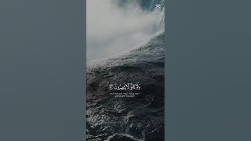 تلاوه القران الكريم بصوت عبد الرحمن مسعد #المصحف #القرآن_الكريم #إسلام #الرحمن