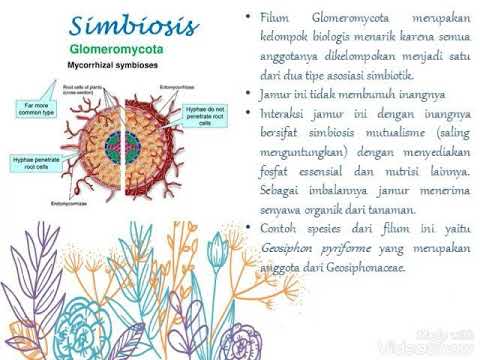 Seputar Jamur Glomeromycota