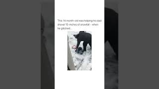 14 month old baby helping his dad shovel 15 inches of snow