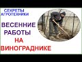 Начало виноградного сезона на улице. Монтаж ПК укрытия