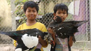 Cambodia Food | Hot Pot Duck Soup Chines Style Recipe | So Yummy With Black Duck Soup For Children.