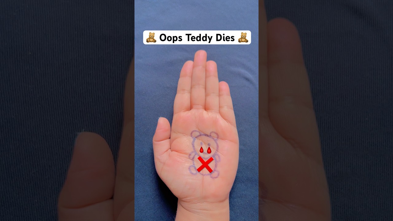 🧸This is Teddy 🧸 