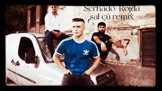 Serhado - Rojda şal çû remix #kurdimusic #remixkurdidj Resimi
