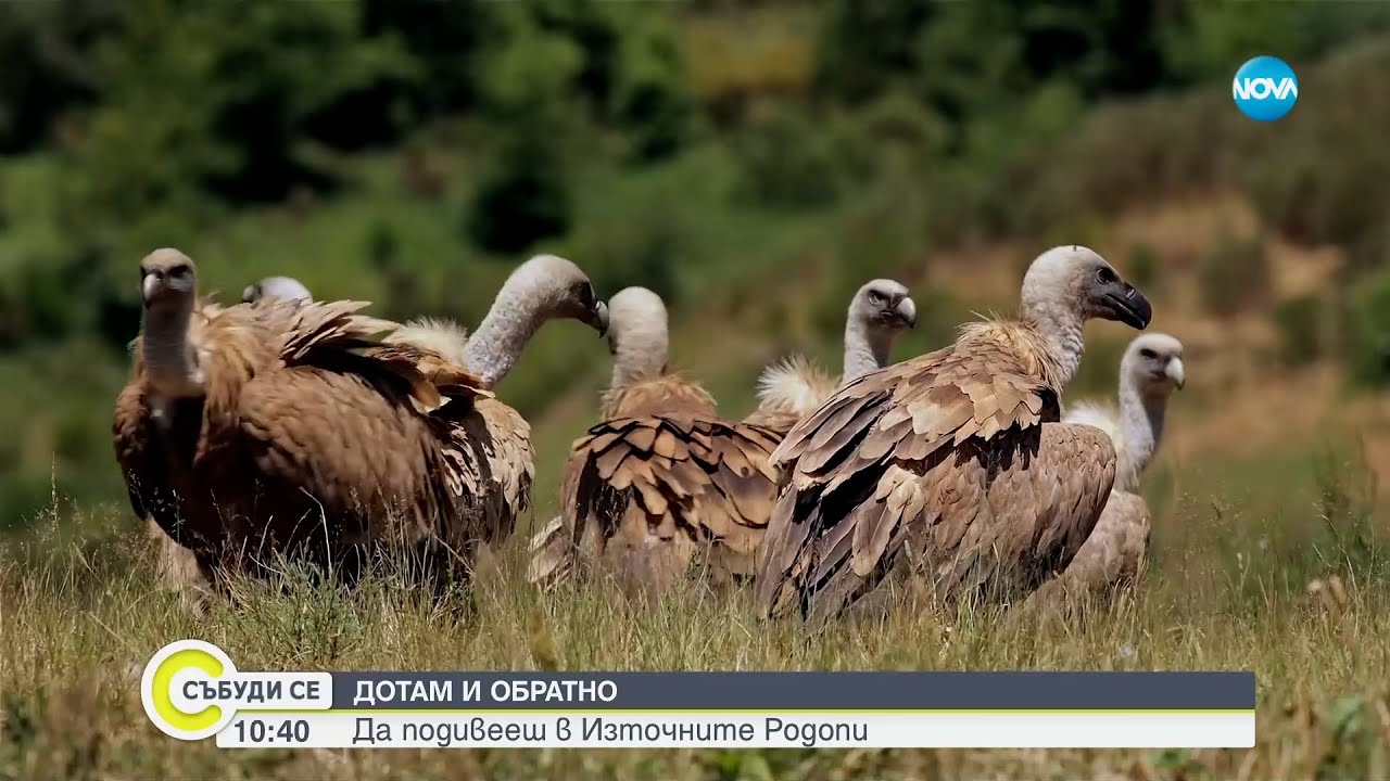 „Дотам и обратно”: Да подивееш в Източните Родопи - Събуди се...(08.12.2024)