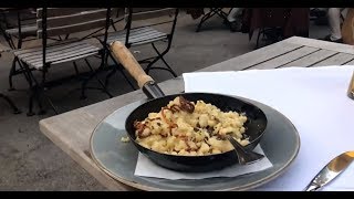 Gemütlichkeit: A Cozy Moment Under the Chestnut Tree