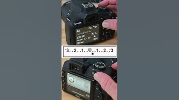 Ever wondered what this button does?  Canon & Nikon DSLR tips.