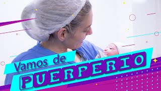 Carolina Curci-33