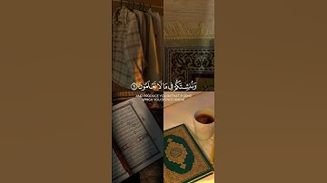 القرآن الكريم سورة الواقعة الآيات [57-58-59-60-61-62-63-64] بصوت الشيخ ماهر المعيقلي ✨♥️🎧