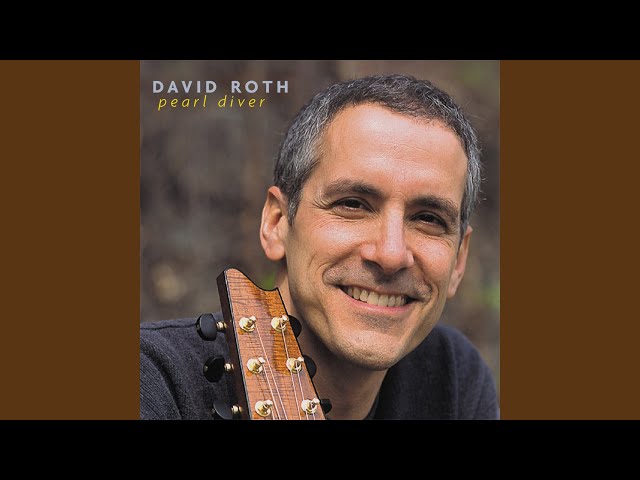 David Roth - Some Kind Of Hero