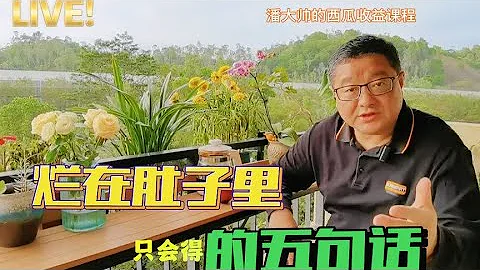 聰明人爛在肚子里的五句話，糊塗人常常說 #家庭教育 - 天天要聞