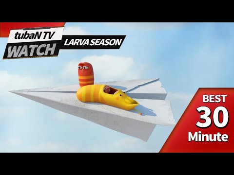 🅻🅰🆁🆅🅰 👉CRAZY <strong>LARVA</strong> I <strong>Just</strong> 30 minutes a day!! I Random Play I <strong>Larva</strong> Cartoon I <strong>Larva</strong> Official I ep.125