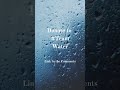 Donate to #Team Water