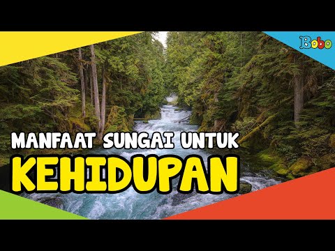 Video: Sungai Upa: deskripsi, fitur, pemandangan, dan fakta menarik