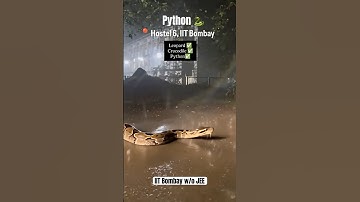 Python at IIT Bombay 💀😱 He Got Into IIT without JEE 😂 JEE Mains & Advanced | IIT JEE #jee #iit