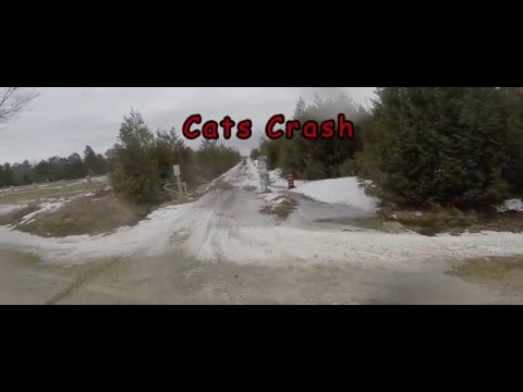 Cats crash