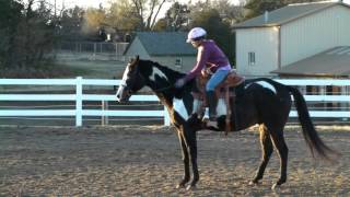 Hunter - flatwork 12/2015