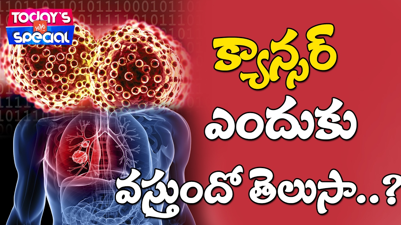 క్యాన్సర్ కోసం చిత్ర ఫలితం