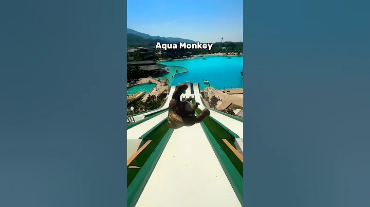 Squishy Monkey vs Red Bull Diver: The Ultimate Challenge