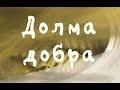 Долма и чесночная сметана (продолжение)