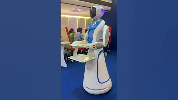 Robot Service In Hotel 
