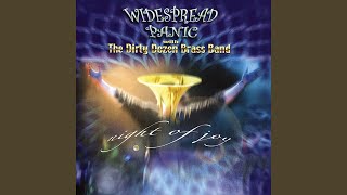 Video thumbnail of "Widespread Panic - Use Me (Live)"