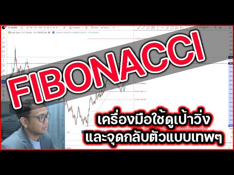 Fibonacci เครื่องมือ ที่นักเทรดไม่ควรพลาด โดยเฉพาะเทรดทองคำ เก็บกันแบบ จุกๆ