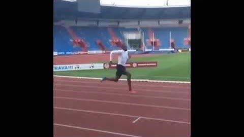 Functional Patterns & Biorythmic Movement