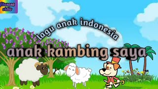 anak kambing saya | lagu anak indonesia no copyright