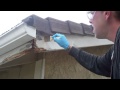 DRY ROT REPAIR WITH THE WOODWIZZARDS WOOD REPAIR SYSTEM, CAPISTRANO BEACH, CA