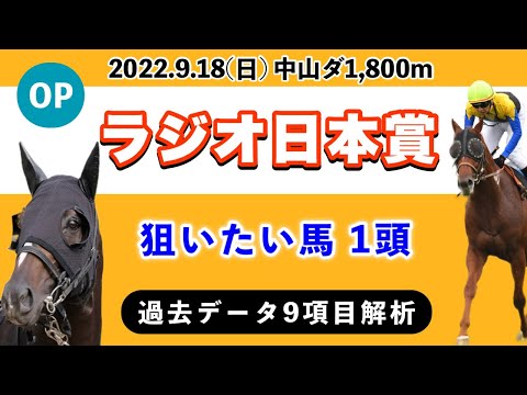 ラジオ日本賞勝ち馬アシャカトブ　実使用ゼッケン