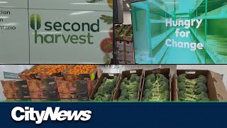 Concerning reports over resources at Canadian food banks