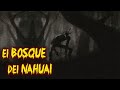 El Bosque Del Nahual Historias De Terror - REDE