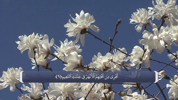 ترجمه صوتی تصویری قرآن حکیم ( 010 ) سوره يونس