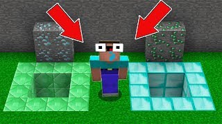 Minecraft NOOB vs PRO : WHICH PIT WILL NOOB CHOOSE TO SURVIVE! Challenge 100% trolling!