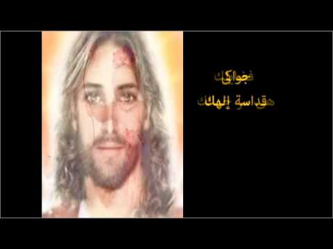 شعار كوني يا نفسي زي السوسنة