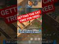 My clan got the CAT TREE for free in LDOE🔥! Last day on earth : Survival