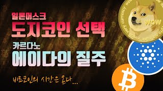일론 머스크 도지코인 선택, 카르다노 에이다의 질주, 비트코인의 시간