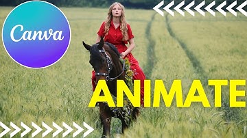 How to Animate a Still Photo in Canva - Image to Video Tutorial [2025]