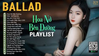 Hoa Nở Bên Đường Ballad - Hay Lâu Lâu Em Quên Gọi Nhầm Tên Anh Đi | Nhạc Trẻ Ballad Hot Hits 2024