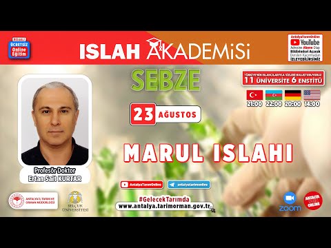 Video: Marul Nematodları: Marul Bitkilerinde Nematod Hasarını Yönetme