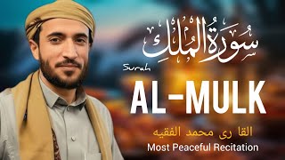 Peaceful Surah Al-Mulk |  سورة الملك  | sheikh mohammad faqih |heart touching recitation for night