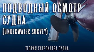 Подводный осмотр судна - Underwater survey. (ТУС - теория устройства судна)