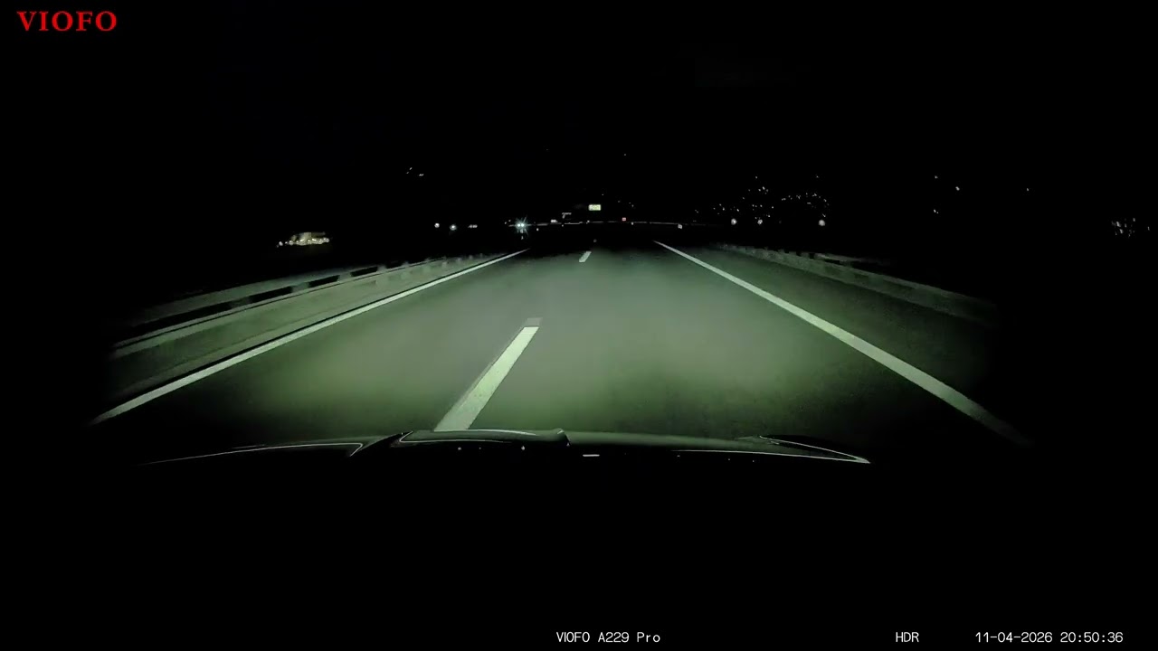 Katze auf A4 sorgt für gefährliche Situation – Fahrer kann Zusammenstoss verhindern