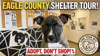 ​Eagle County Animal Shelter Tour | Adoptable Pets & Behind the Scenes (Eagle, CO)