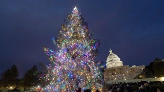Happening Now: Johnson Hosts Annual Capitol Christmas Tree Lighting Ceremony