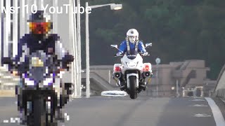 【時速100kmの攻防】白バイが爆速バイクを猛追一発免停の赤切符か•危うく人身事故•BBA呑気にイエローカットで背後から…•ごねる爺さん信号無視で検挙等、【白バイ取り締まり特集】