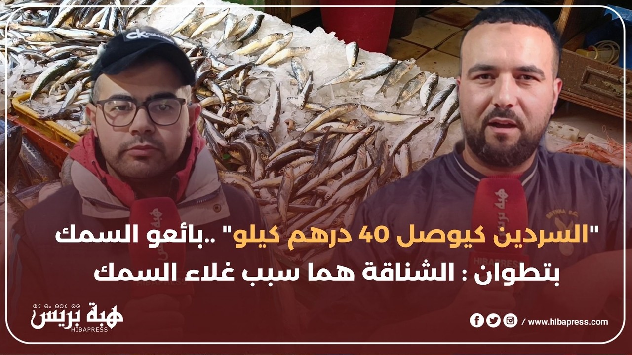 بائعو السمك بتطوان : الشناقة و محتكري السوق هما سبب غلاء السمك و نحن مع الشعب في المقاطعة
