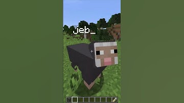 3 Trucos con las etiquetas en Minecraft🏷️